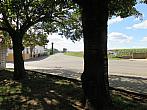 Třibřichy