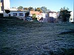 Borovina