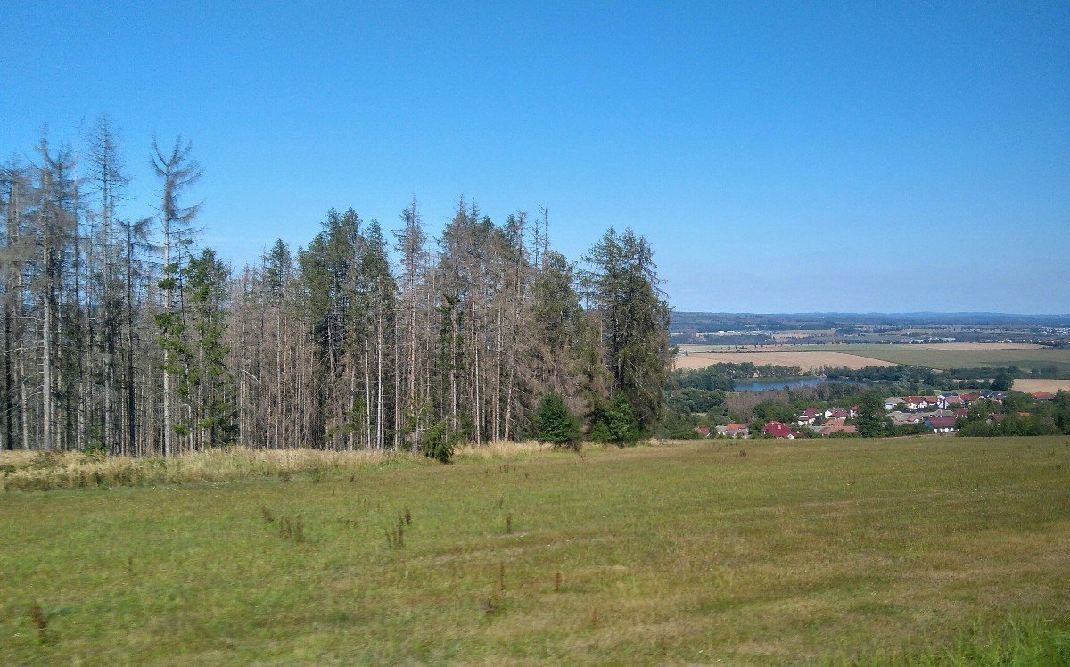 Čechočovice
