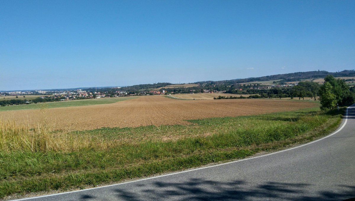 Stařeč