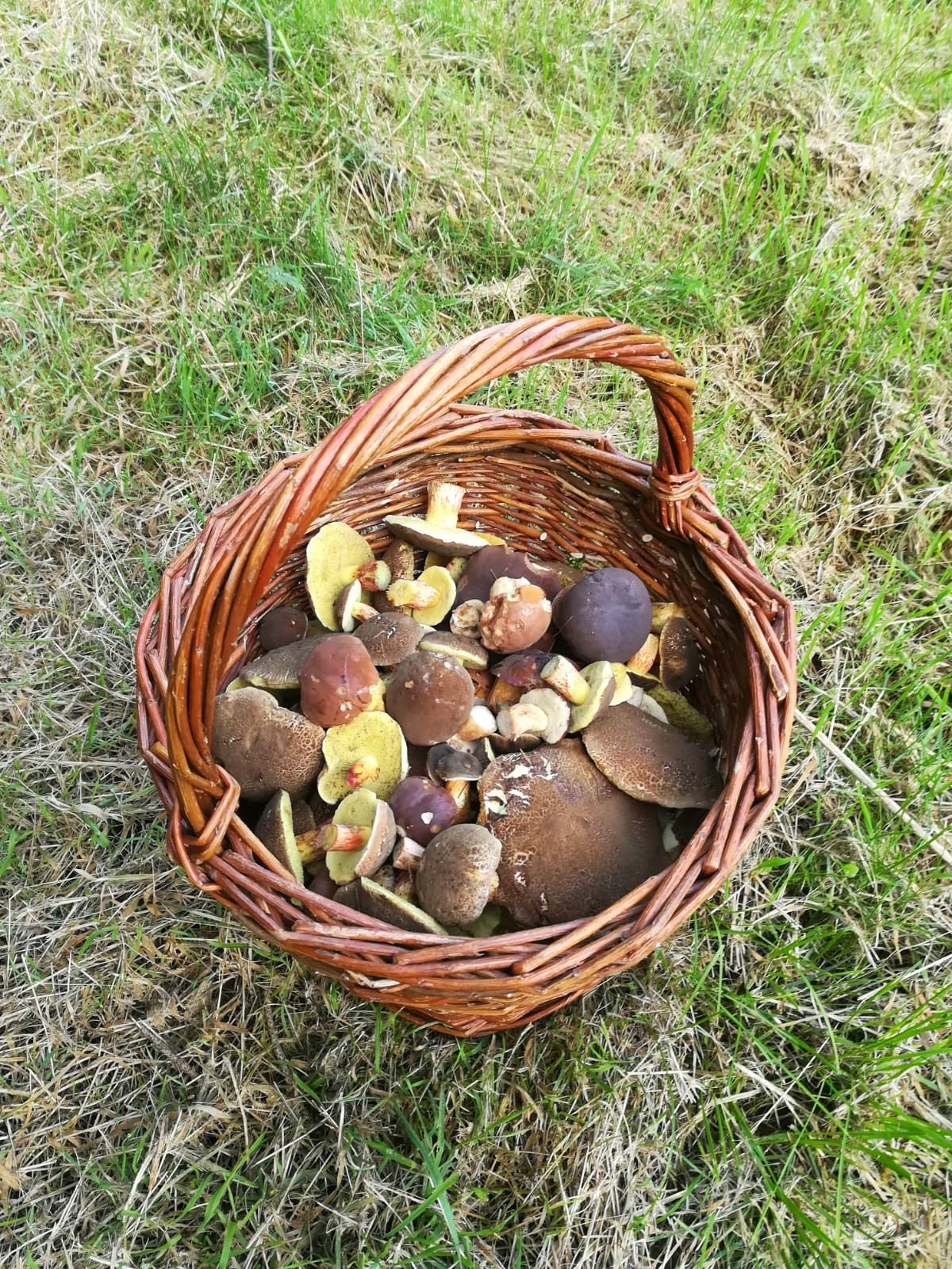 Ždár nad Sázavou