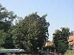Neratovice