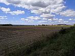 Císařov