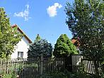 Třibřichy