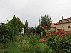 Třibřichy