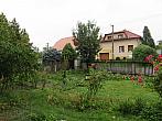 Třibřichy
