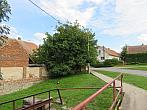 Třibřichy
