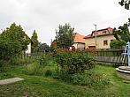 Třibřichy