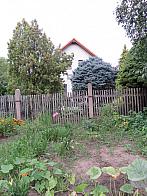 Třibřichy