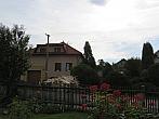 Třibřichy