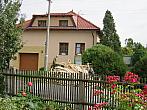 Třibřichy
