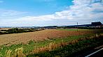 Stařeč
