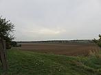 Třibřichy