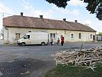 Třibřichy