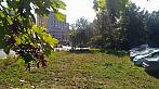 Borovina