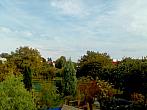 Hořice - Libonice