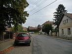 Třibřichy