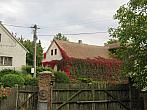 Třibřichy
