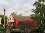 Třibřichy