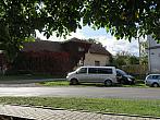 Třibřichy