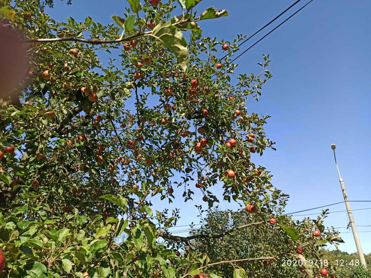Ostrava-Poruba