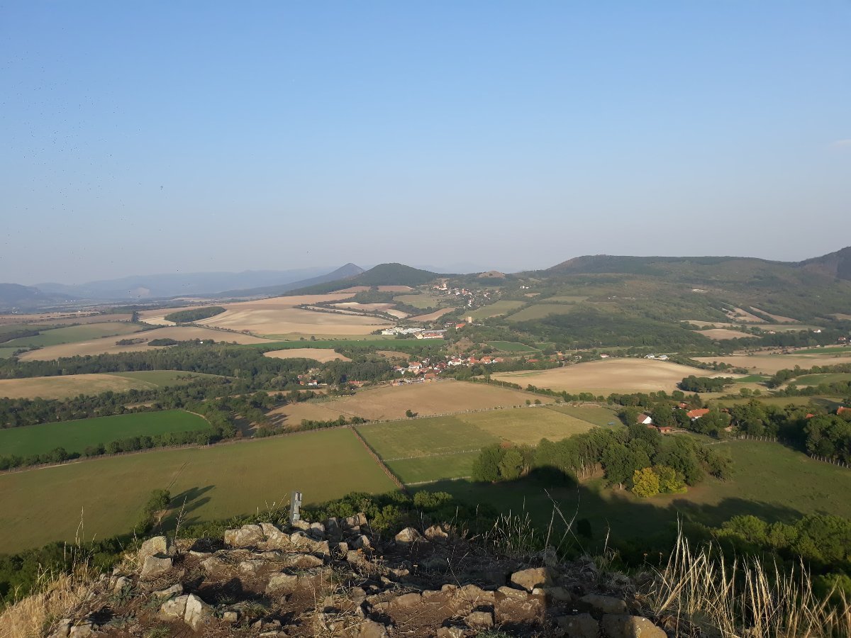 Podsedice