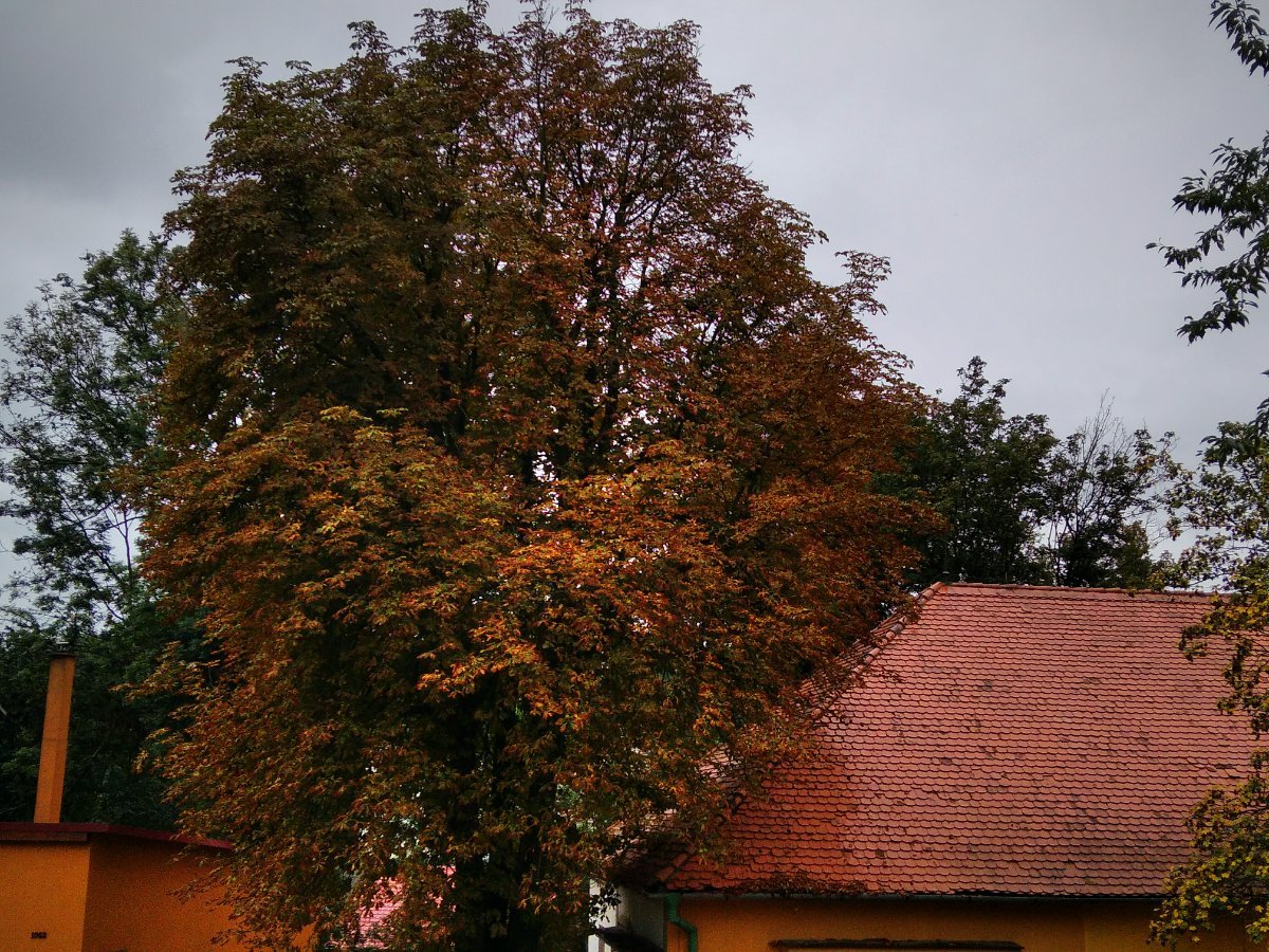 Třebíč-Borovina