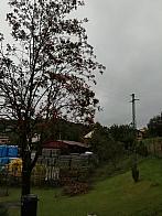 Skalité