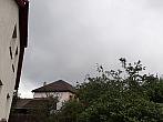 Olešná