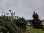Olešná