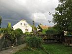 Třibřichy