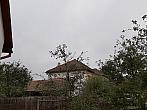 Olešná