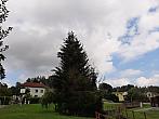 Olešná