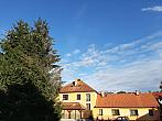 Olešná