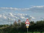 Třibřichy