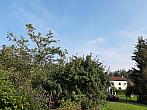Olešná