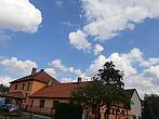 Olešná