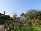 Třibřichy