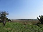Třibřichy