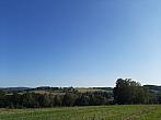 Olešná