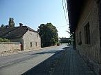 Třibřichy