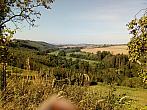 Pertoltice