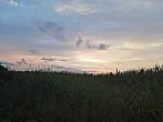 Hostákov