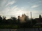 Třibřichy