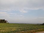 Hostákov