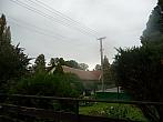 Třibřichy