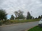 Třibřichy