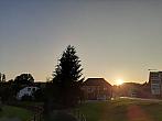 Olešná