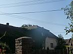 Třibřichy