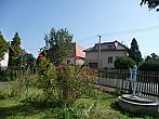 Třibřichy